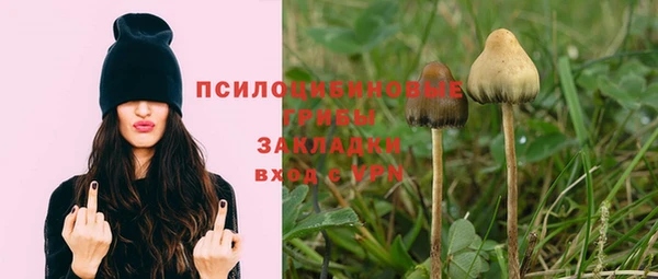 2c-b Бугульма