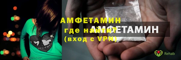 Альфа ПВП Бородино