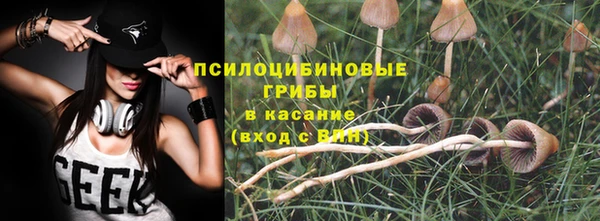 Альфа ПВП Бородино