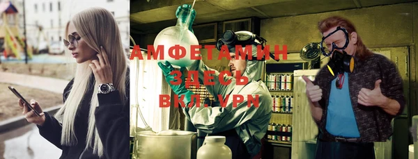 Альфа ПВП Бородино
