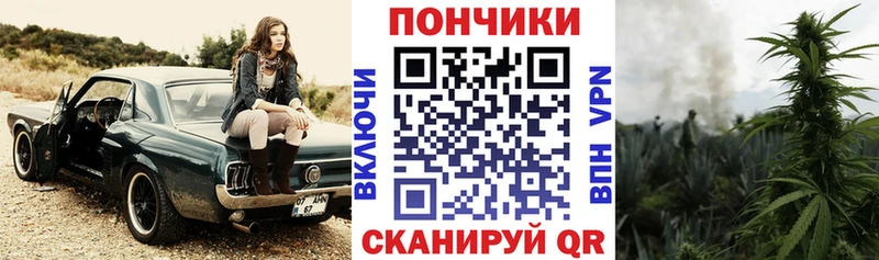 хочу наркоту  Улан-Удэ  Канабис индика 